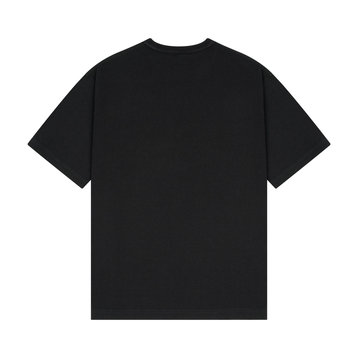 "spiderweb v2" T Shirt black