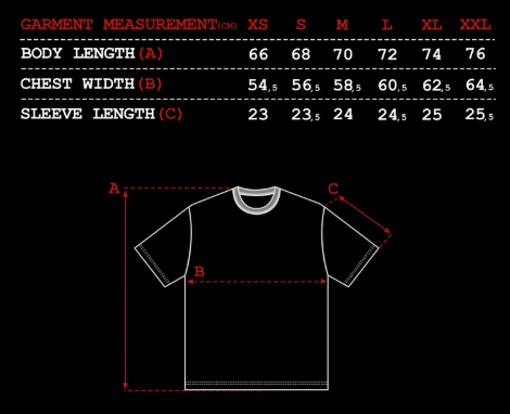 "spiderweb v2" T Shirt black